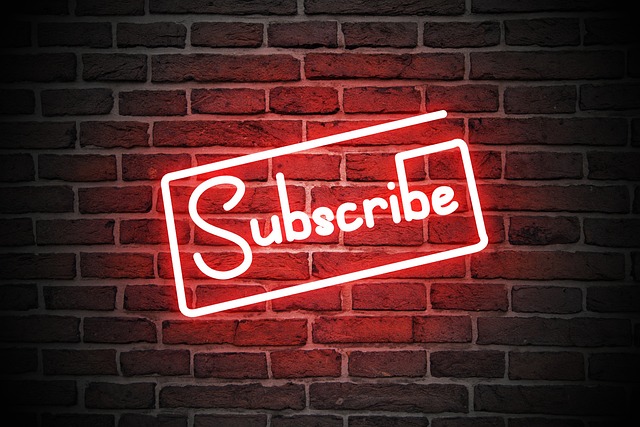 Hvad koster youtube premium egentlig? Brug en prisberegner